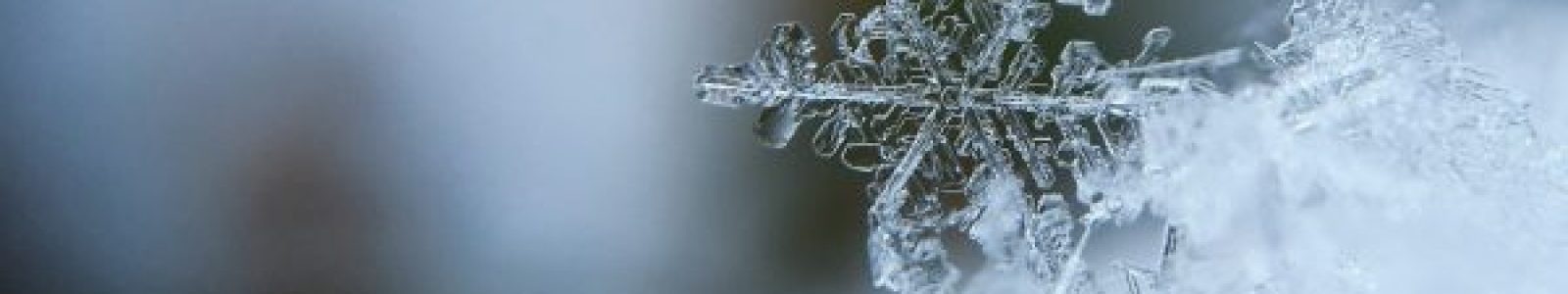 5aiwn2u10cw-600x450-1